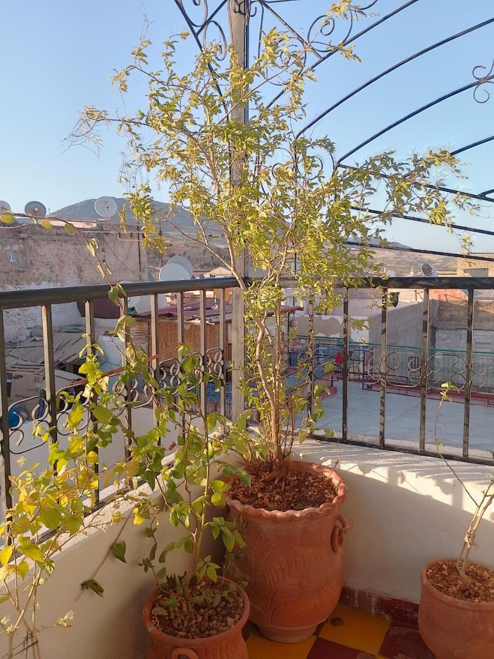 Riad Lala Drissia Fes Exterior photo